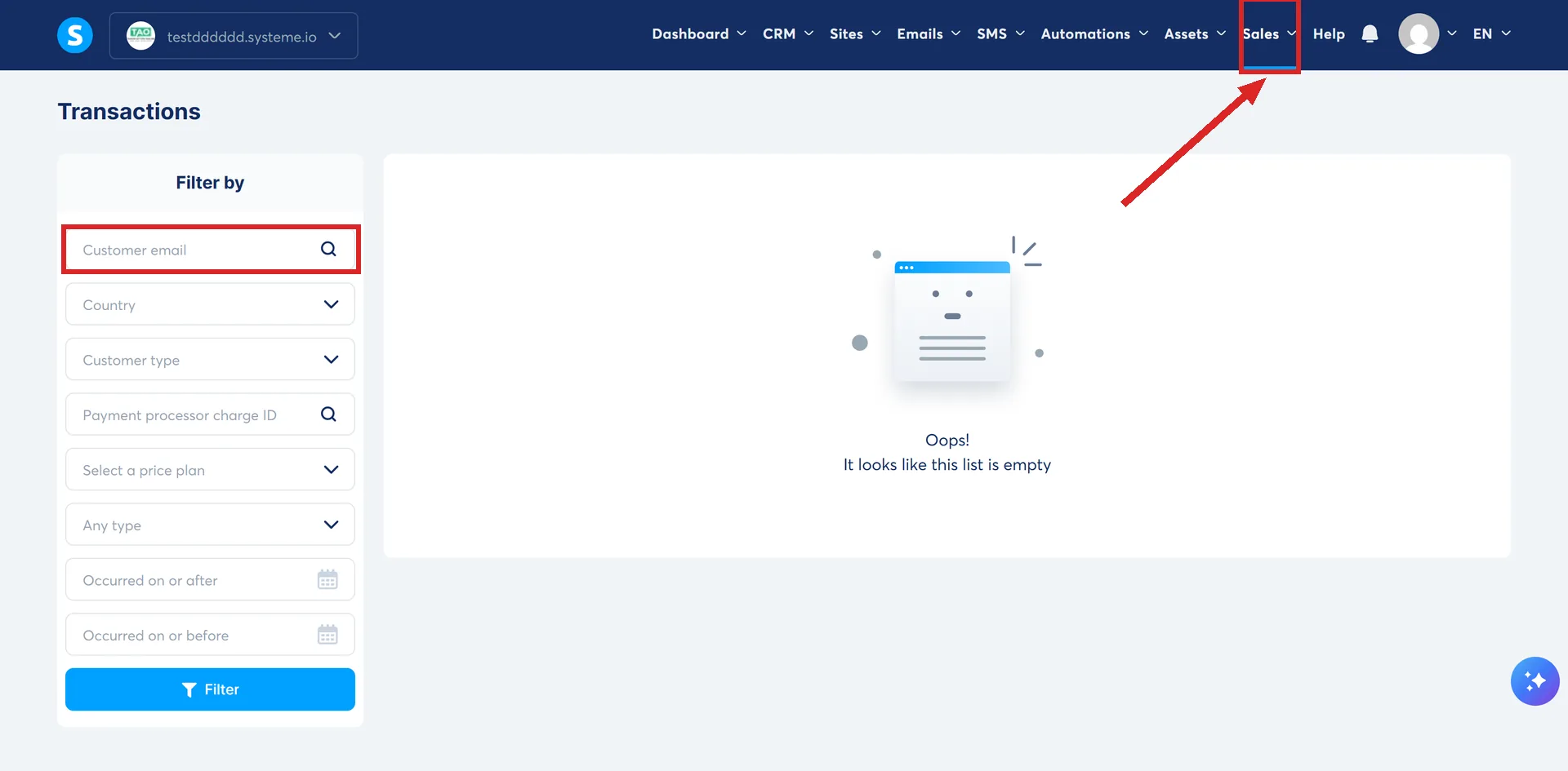 The Transactions page in systeme.io, with Sales in the top navigation and the Customer email filter highlighted.