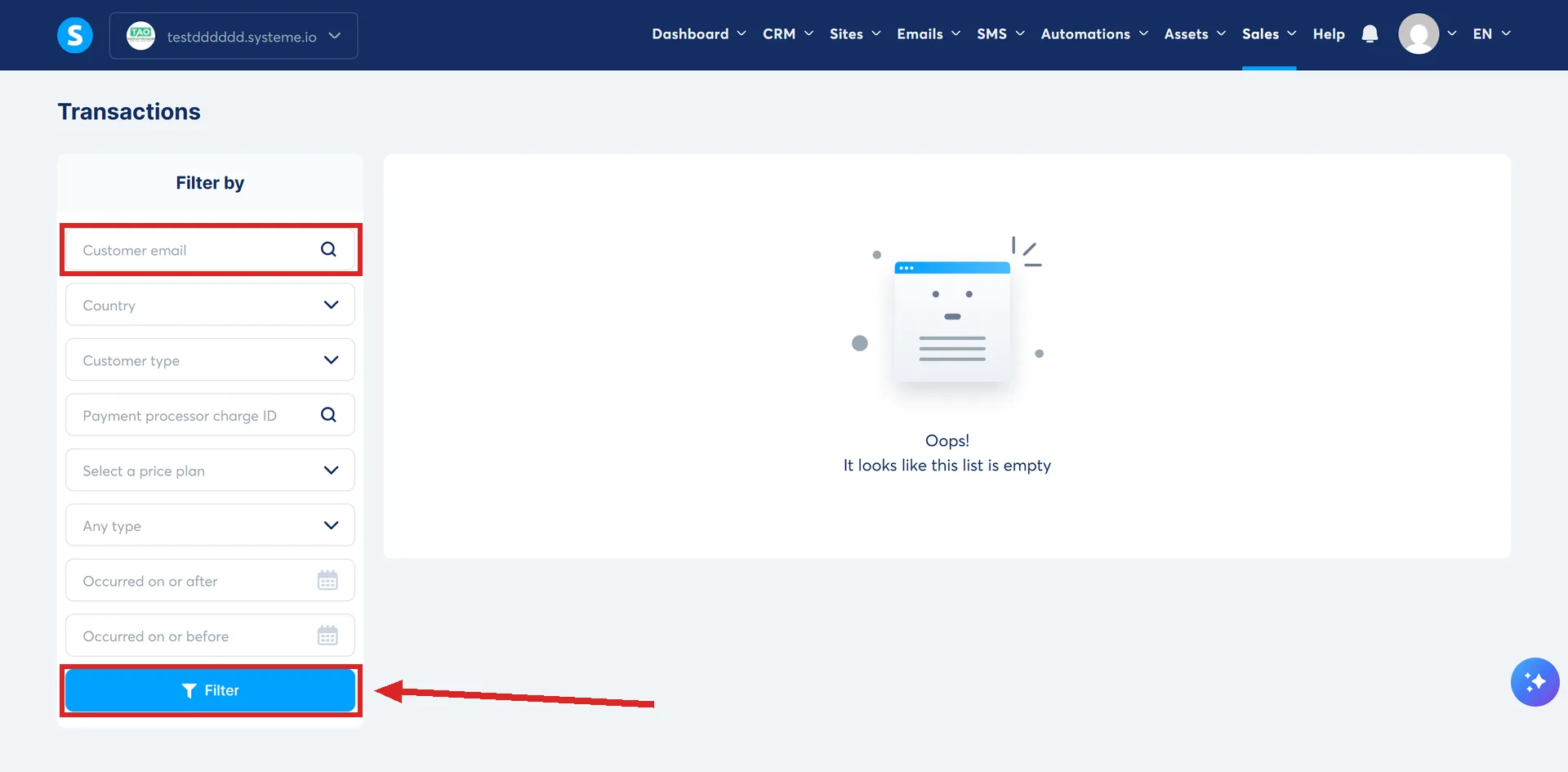 The Transactions page under Sales in systeme.io, with the Customer email field and the Filter button highlighted.